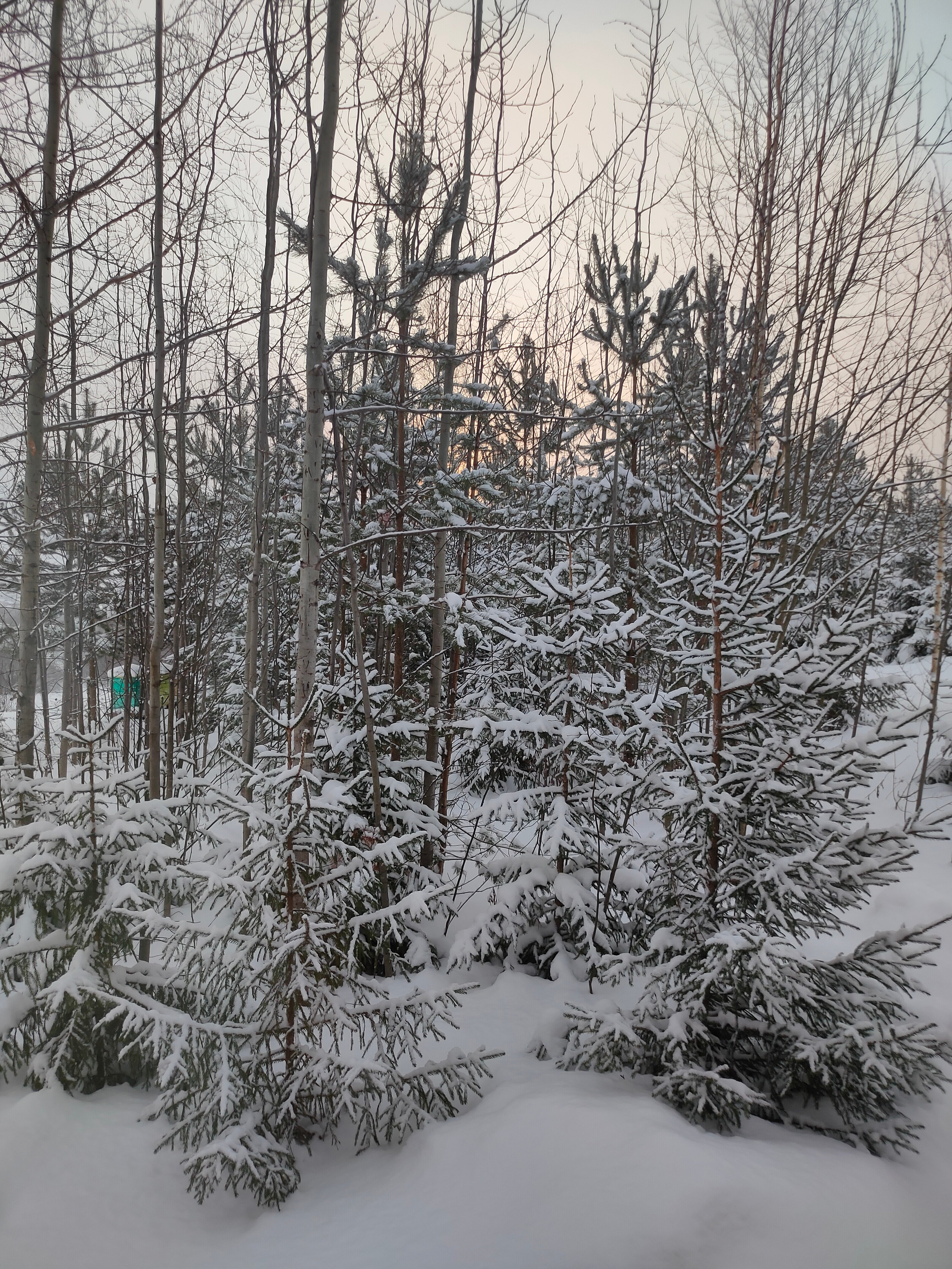 Фото Каликина гора