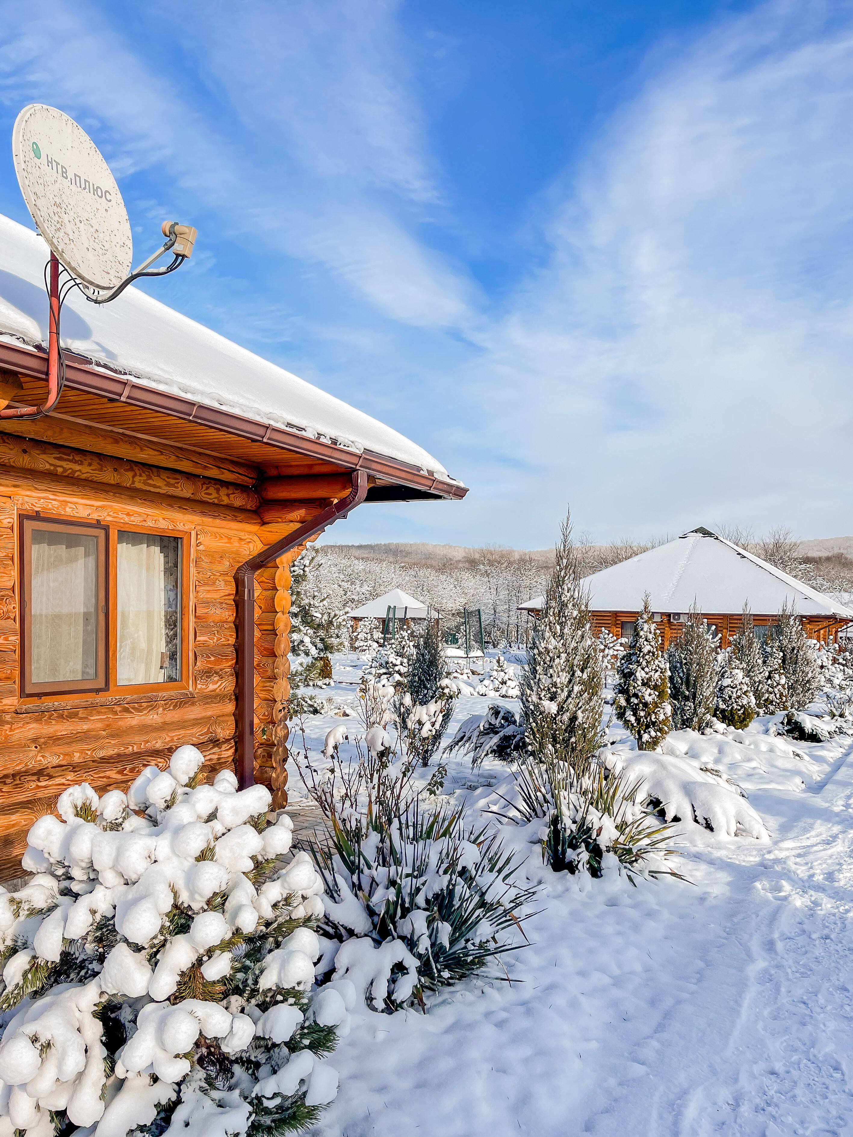 Фото Зеленые холмы