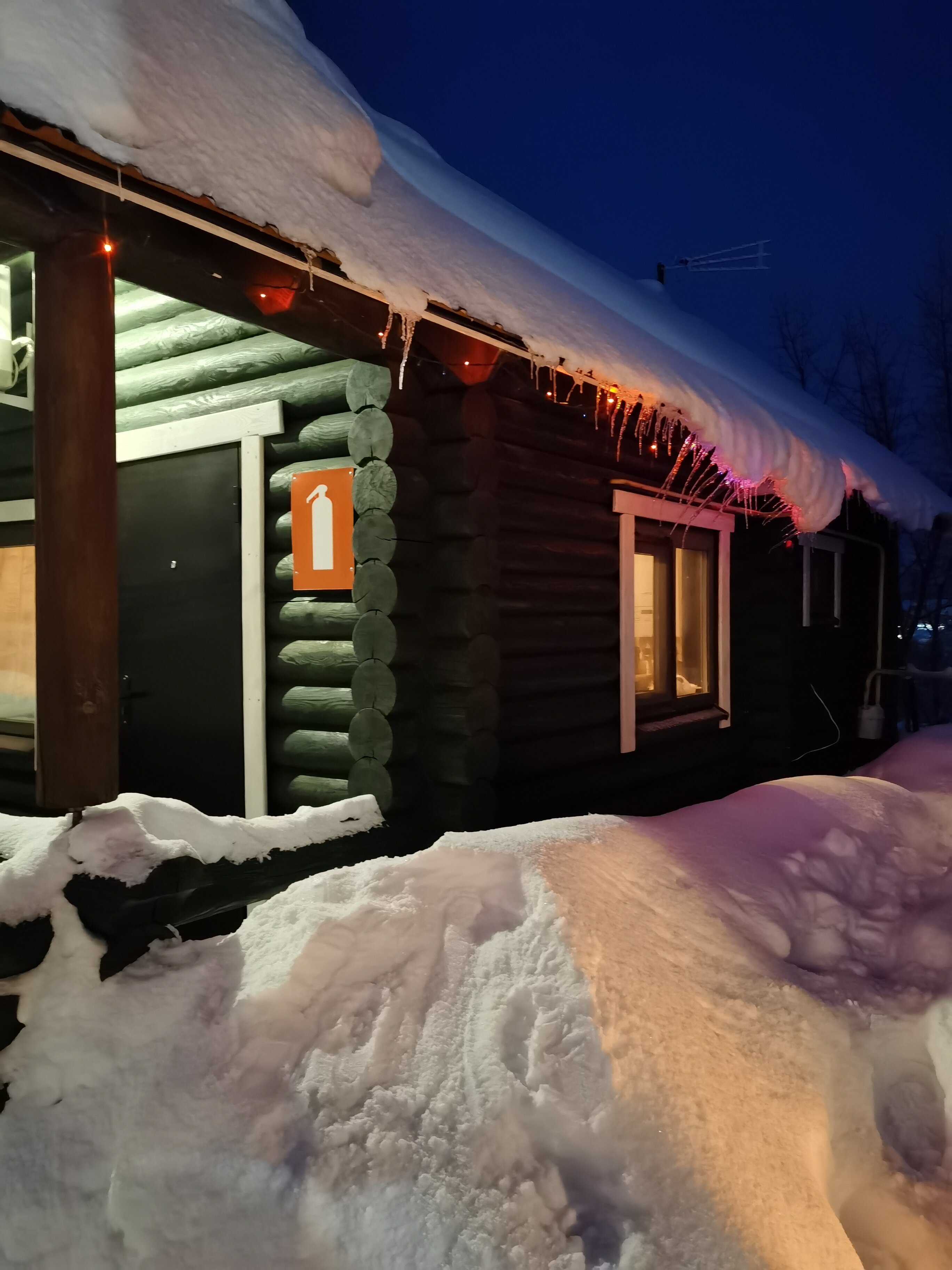 Фото Лесная сказка