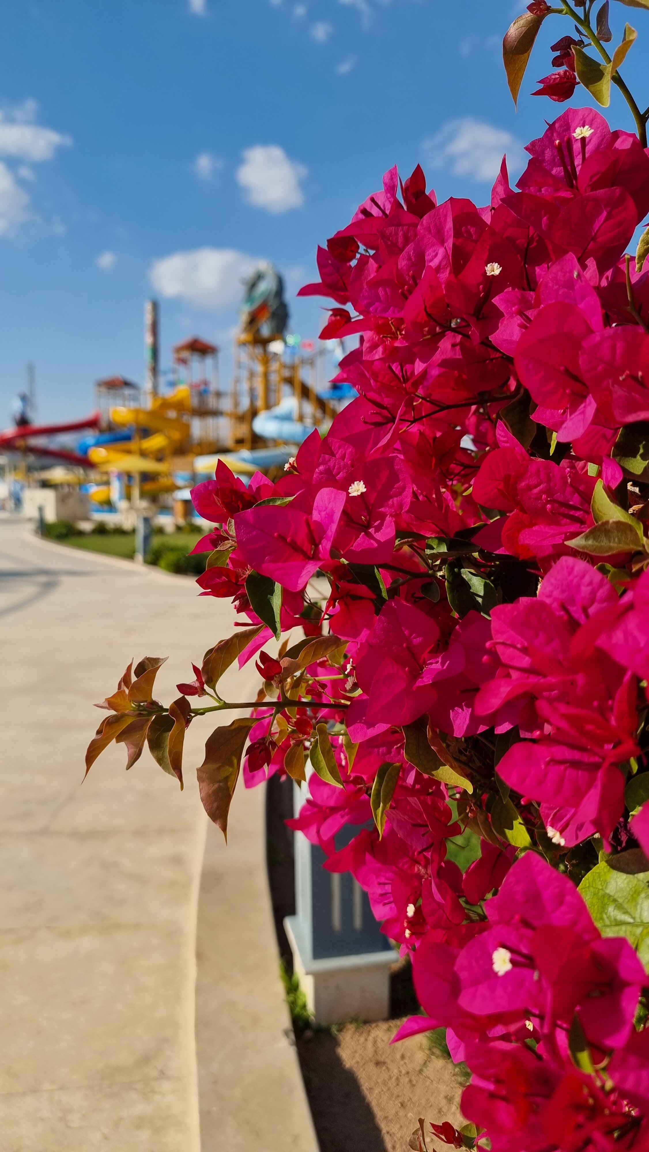 Фото Pickalbatros Aqua Blu Sharm El Sheikh