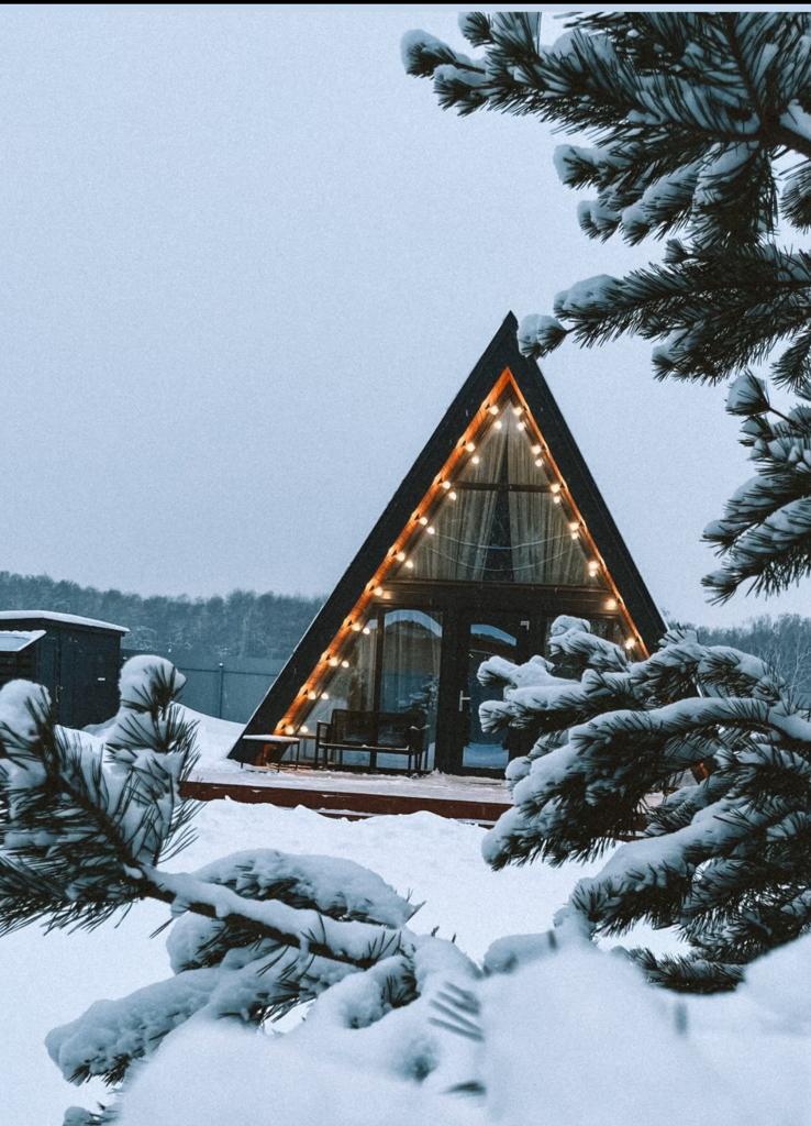 Фото Strawberry Glade