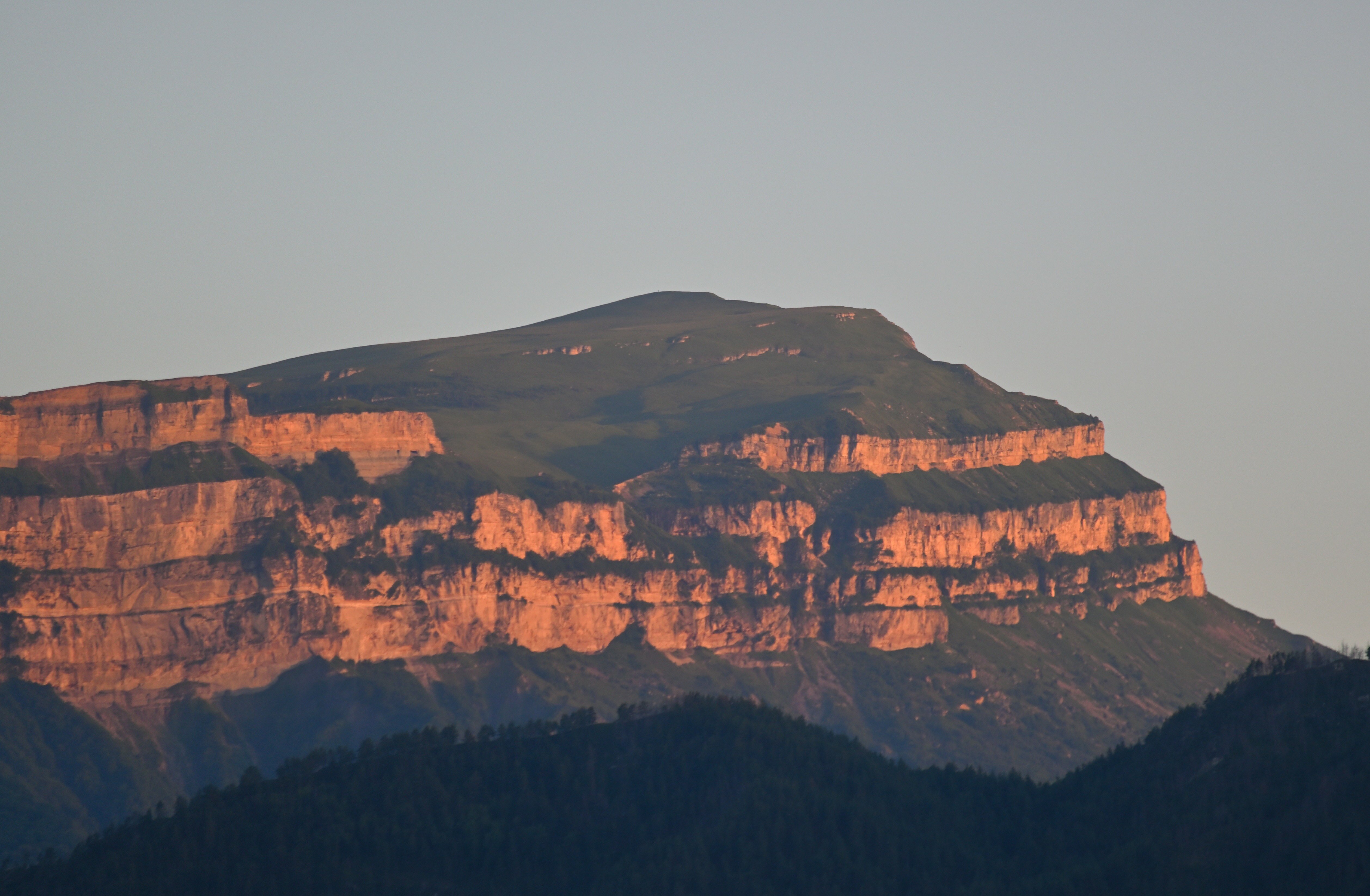 Фото Родное гнездо