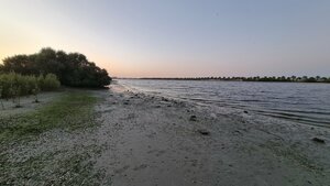 Al Safia Park Musherief Ajman (Al Safia Park, City Center Sector, Ajman), park