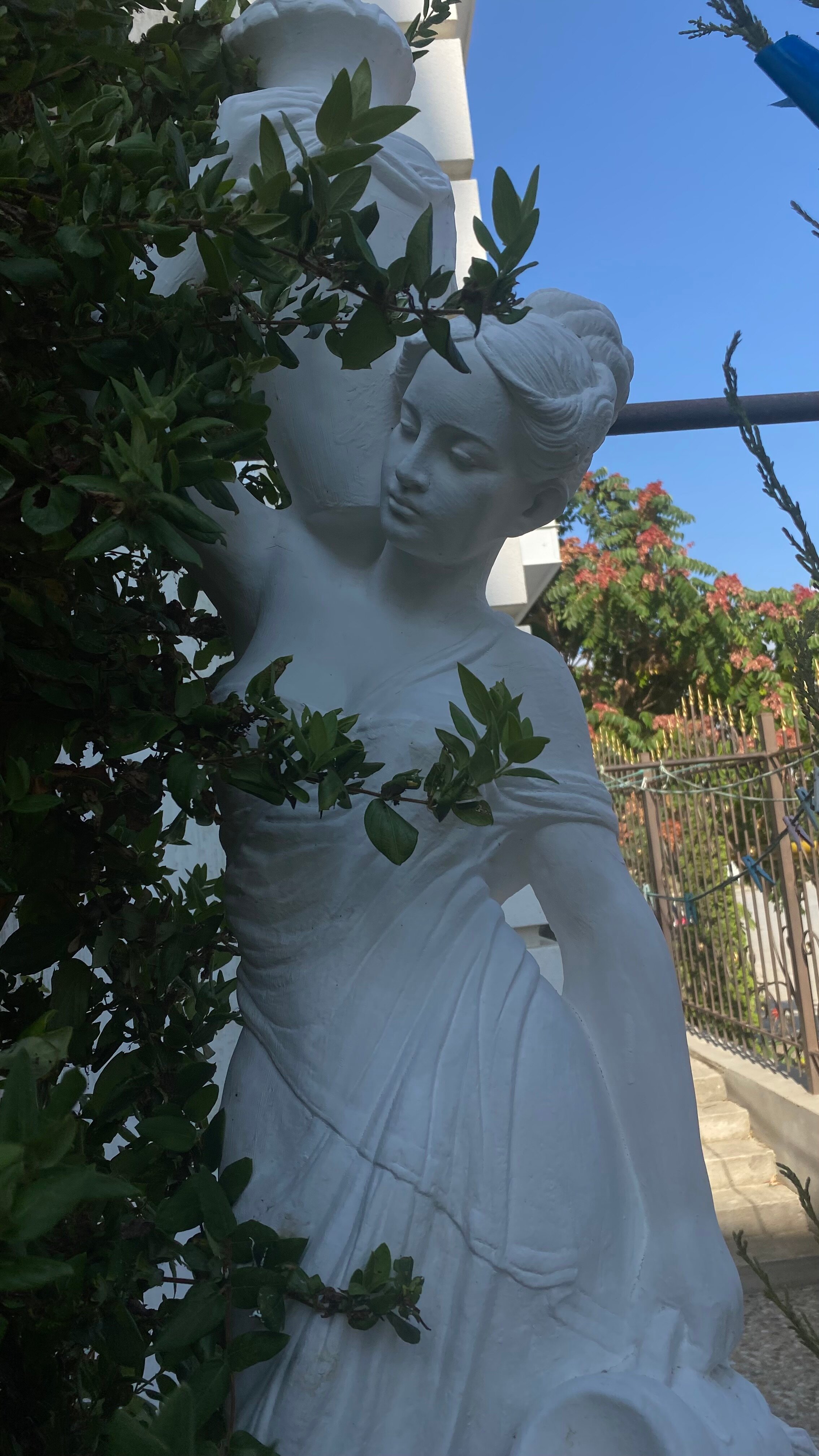 Фото Соната