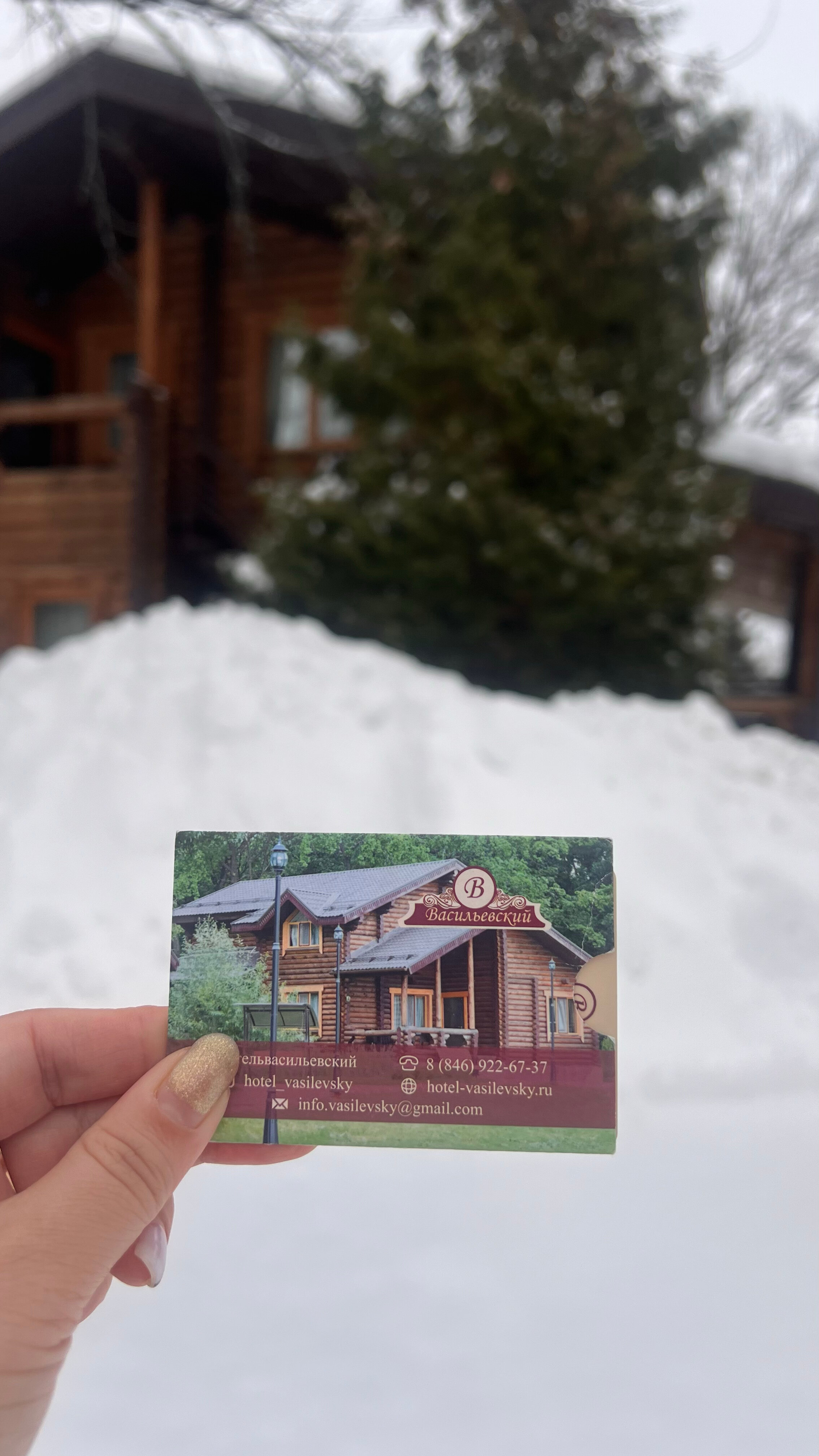 Фото Васильевский