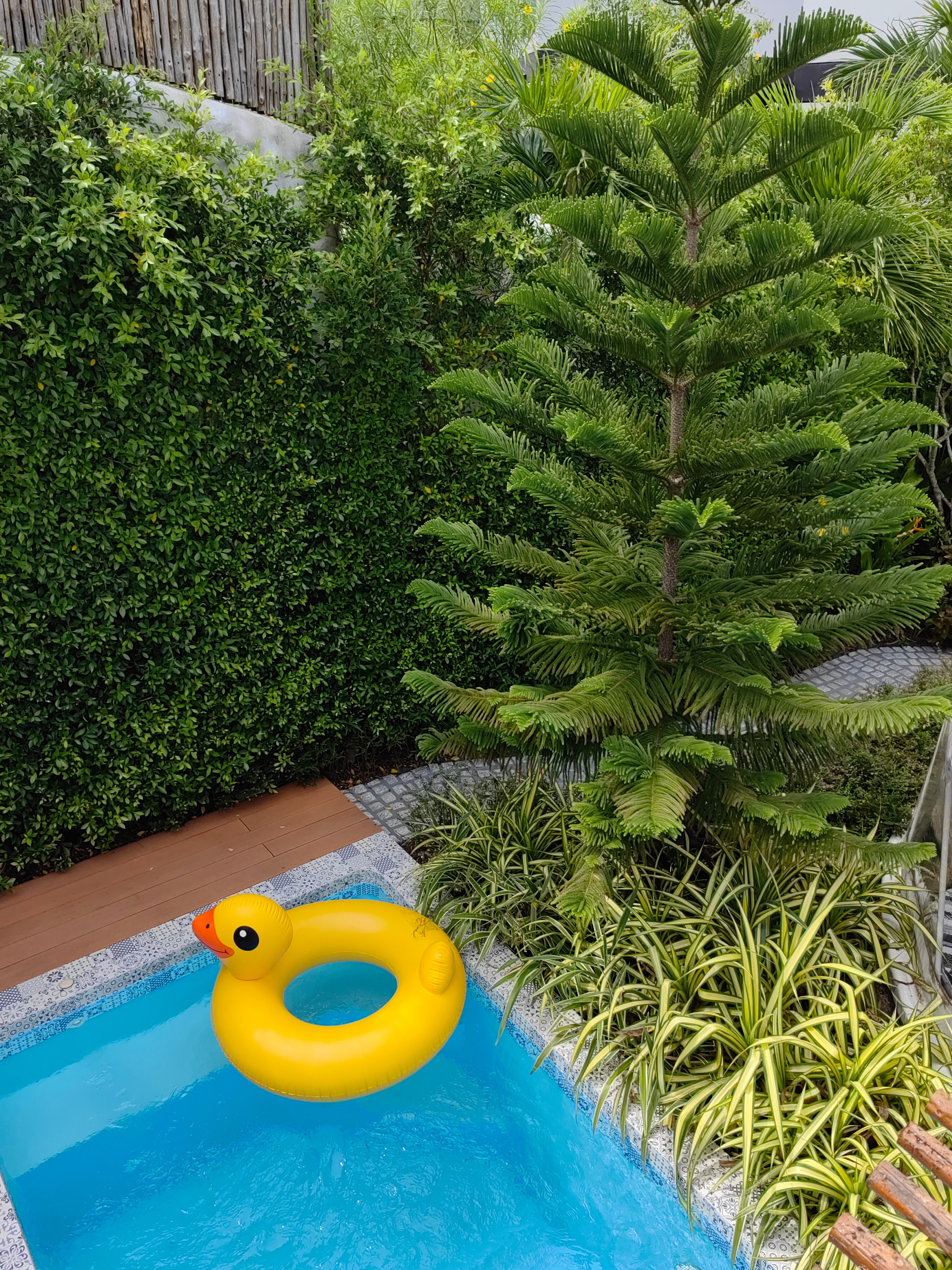 Фото Le Resort and Villas