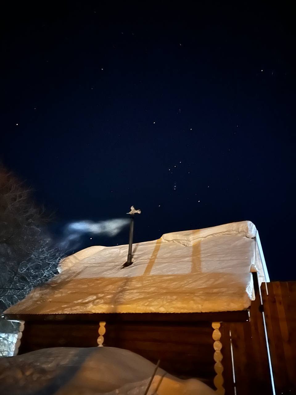 Фото Пилигрим