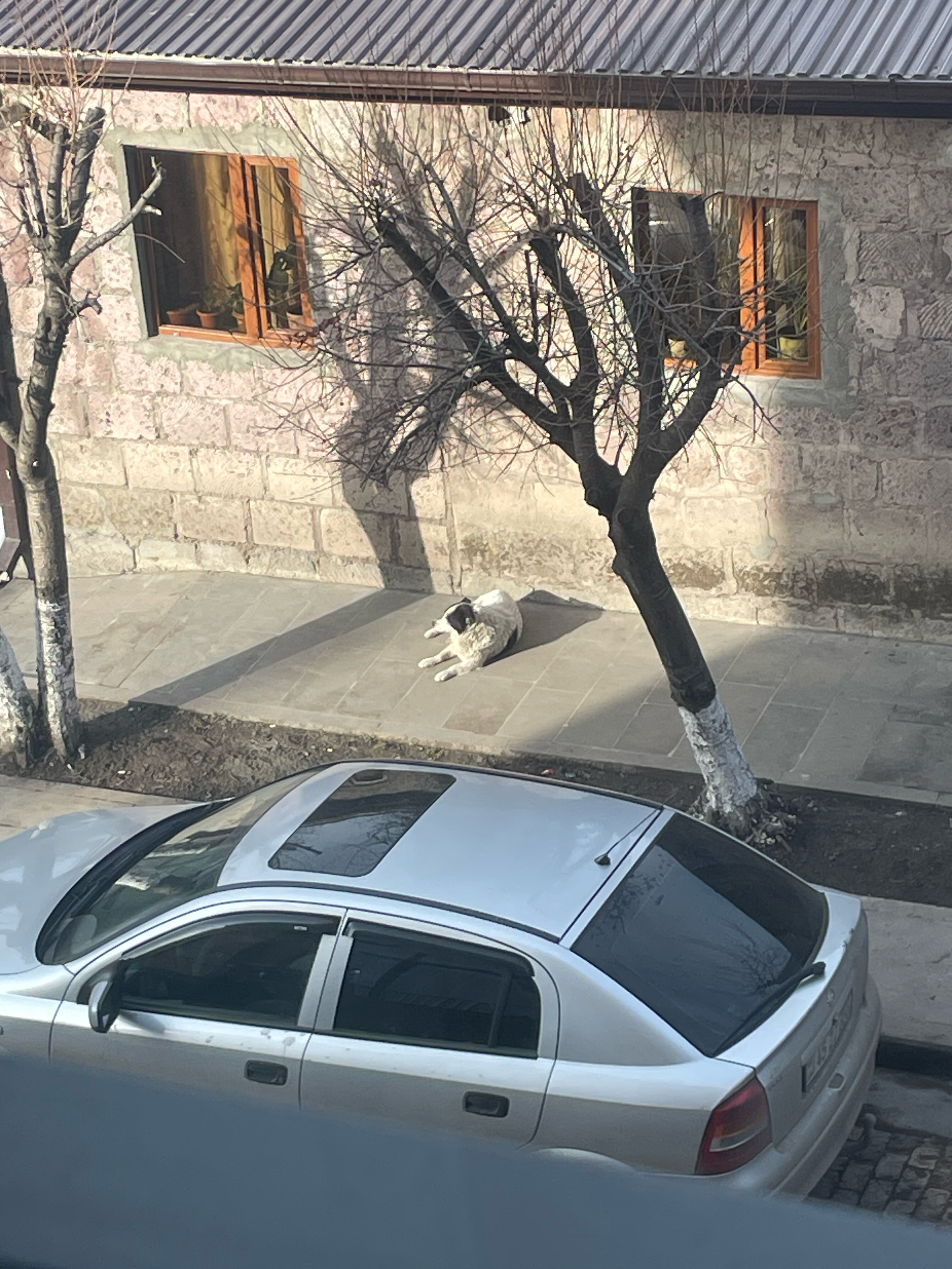 Фото Radisson Hotel & SPA Gyumri