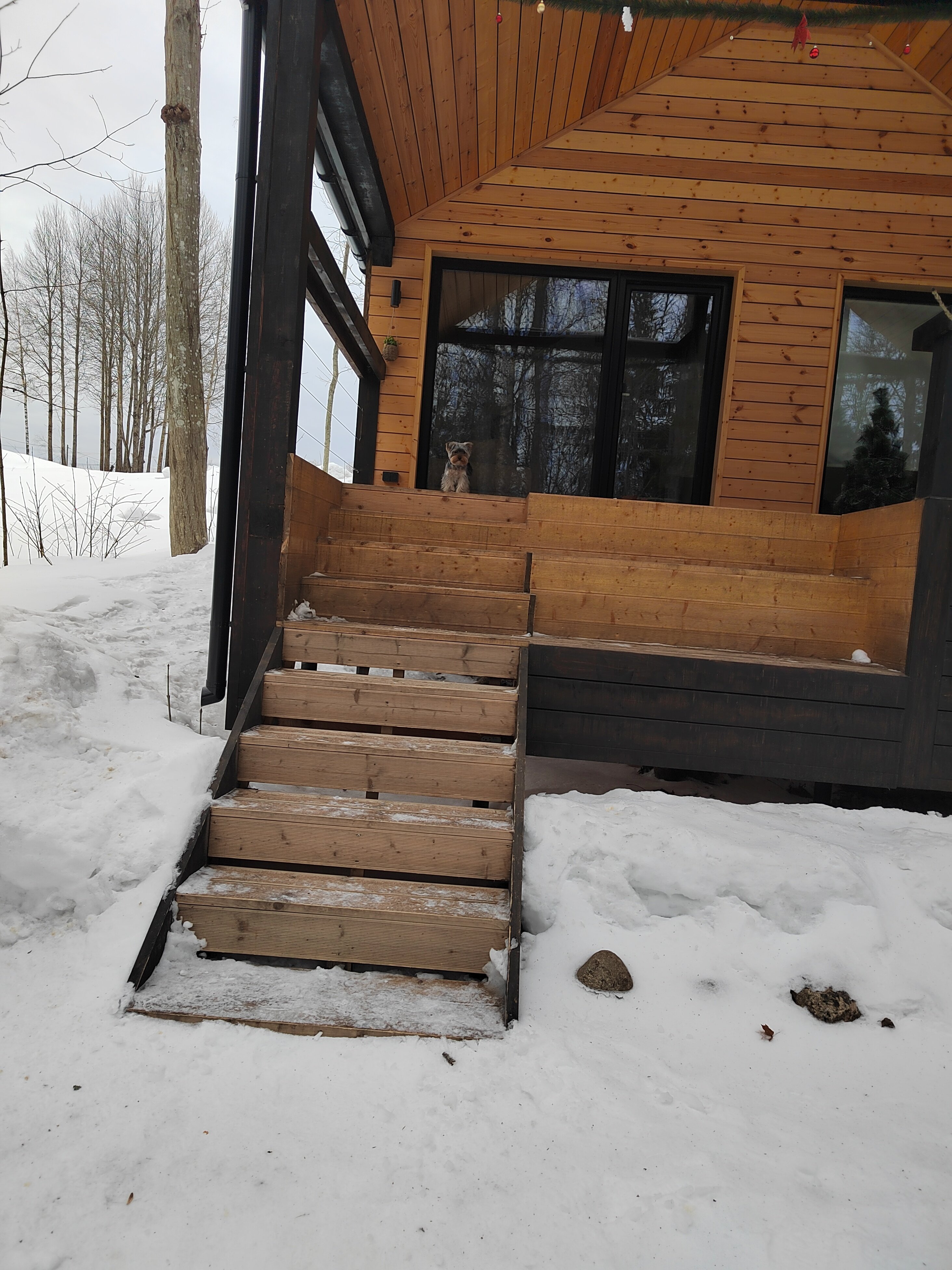 Фото Лес и Гора