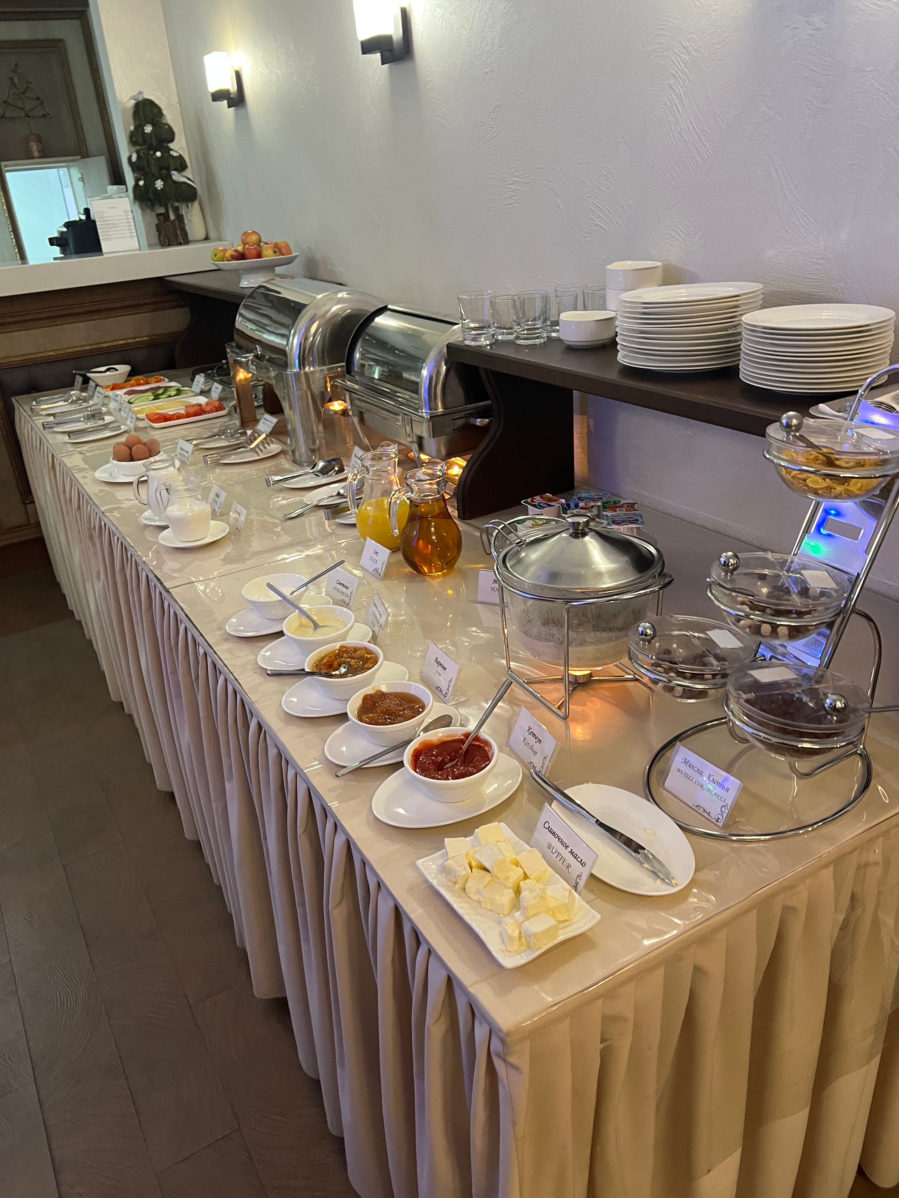 Фото Пальма