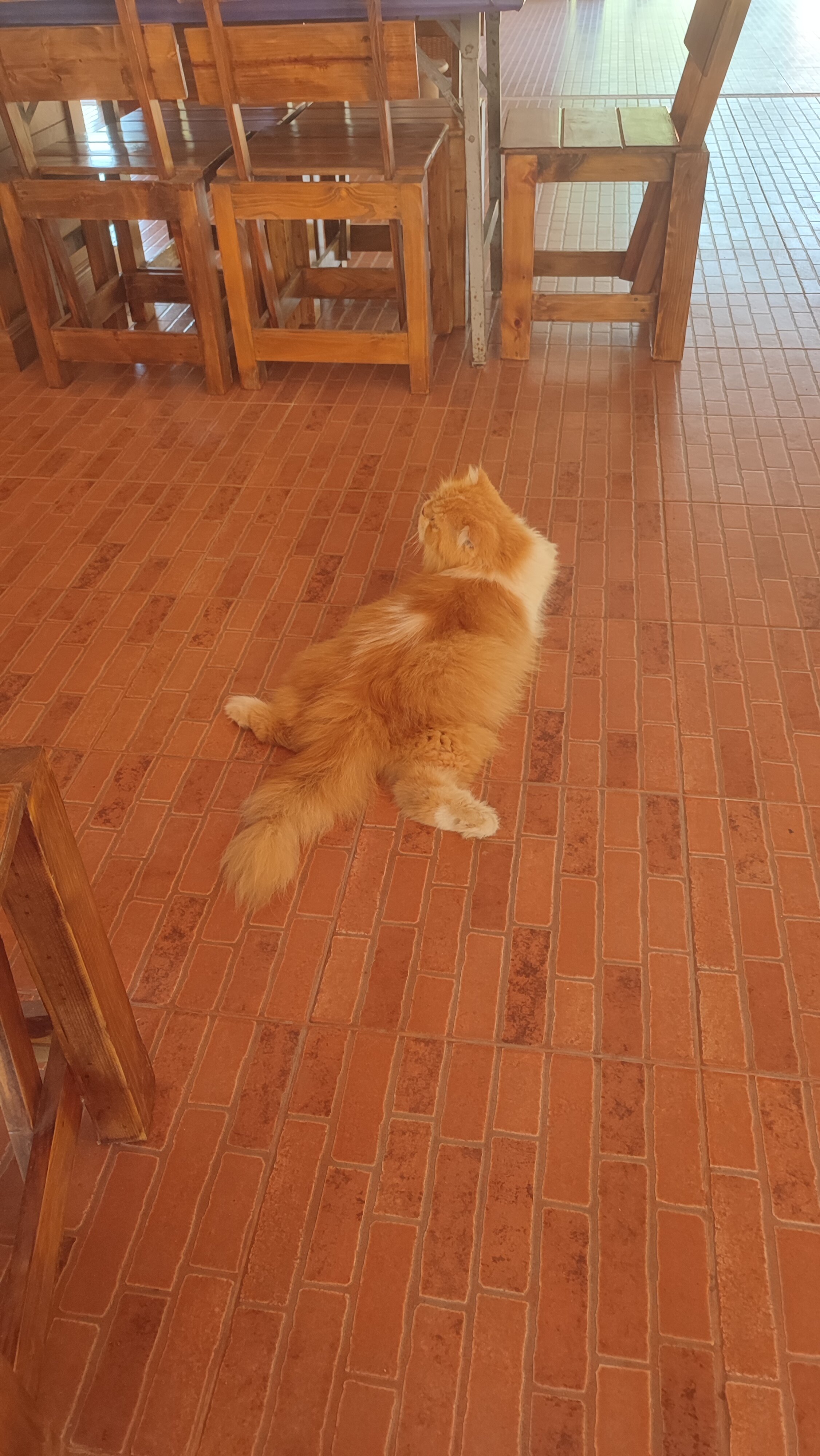 Фото Koh Chang Thai Garden Hill Resort