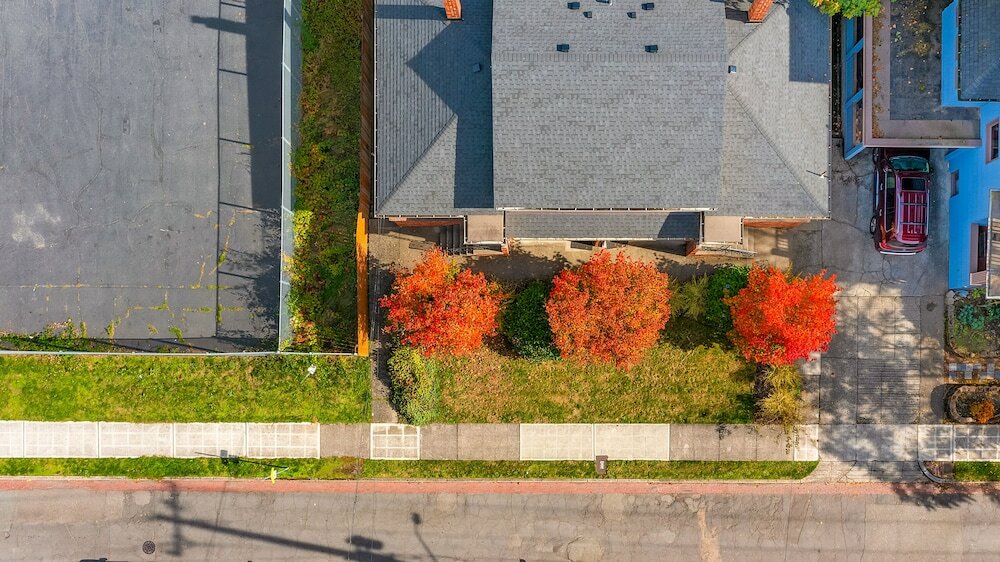 Фото Seattle's Apricot Crown - 87 Walkscore