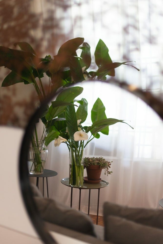 Фото Franca City Hostel