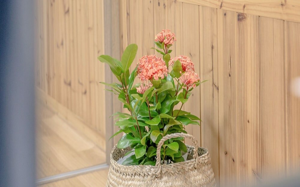 Фото Yeosu Rest Guest House