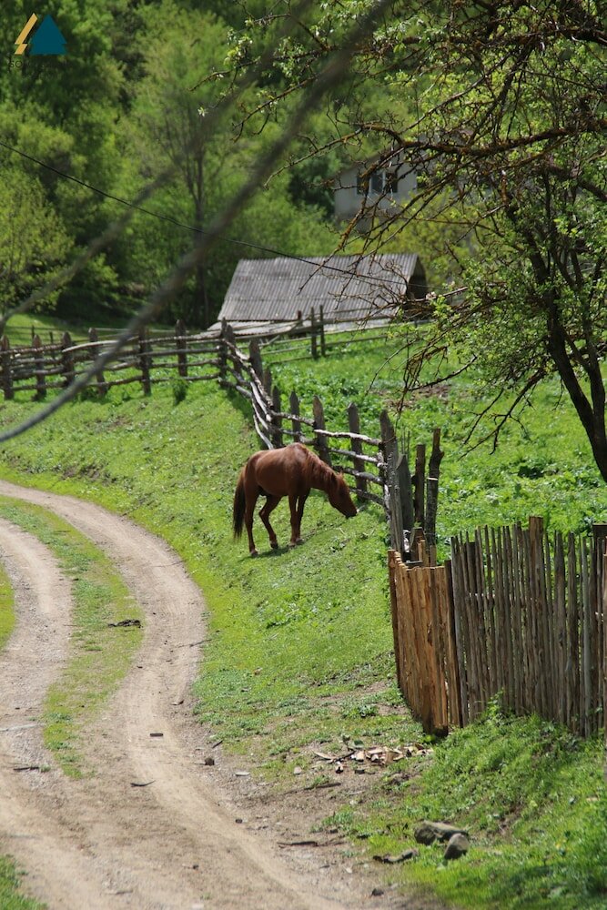 Фото Solo Grand Boshuri Hotel
