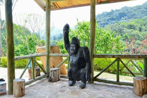 Гостиница Gorilla Hills Eco Lodge в Уганде
