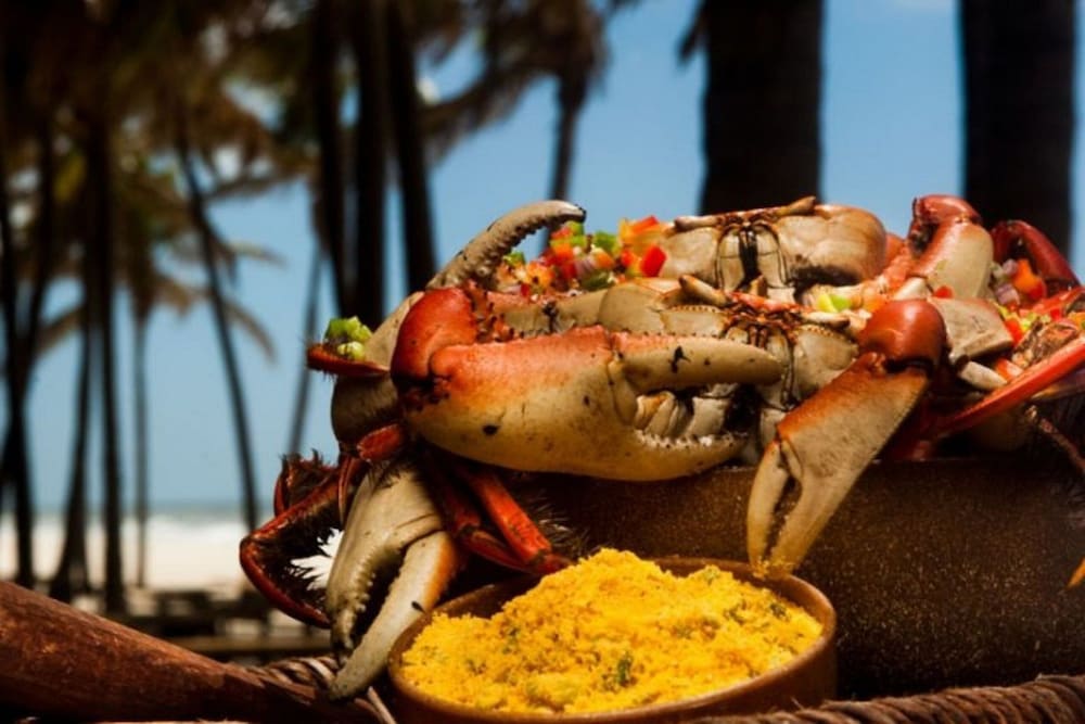 Фото TerraMaris & GranSol Apartments Resort