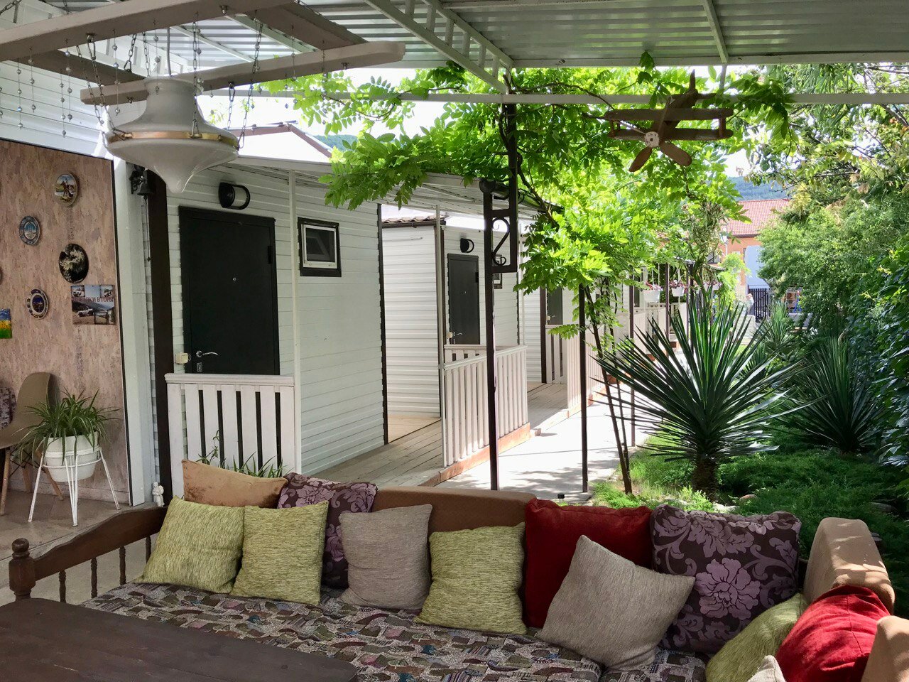 Фото Кофейное дерево