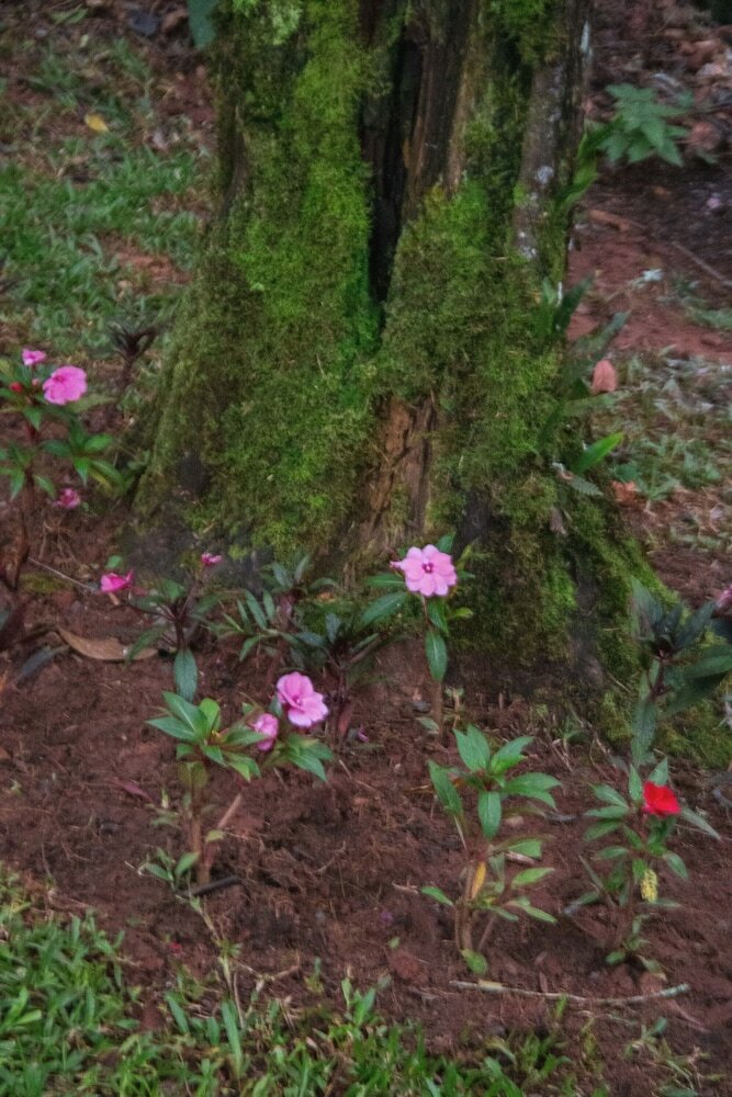 Фото Estalagem Serra de Minas