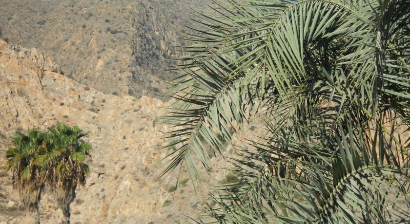 Фото Hostal El Palmeral