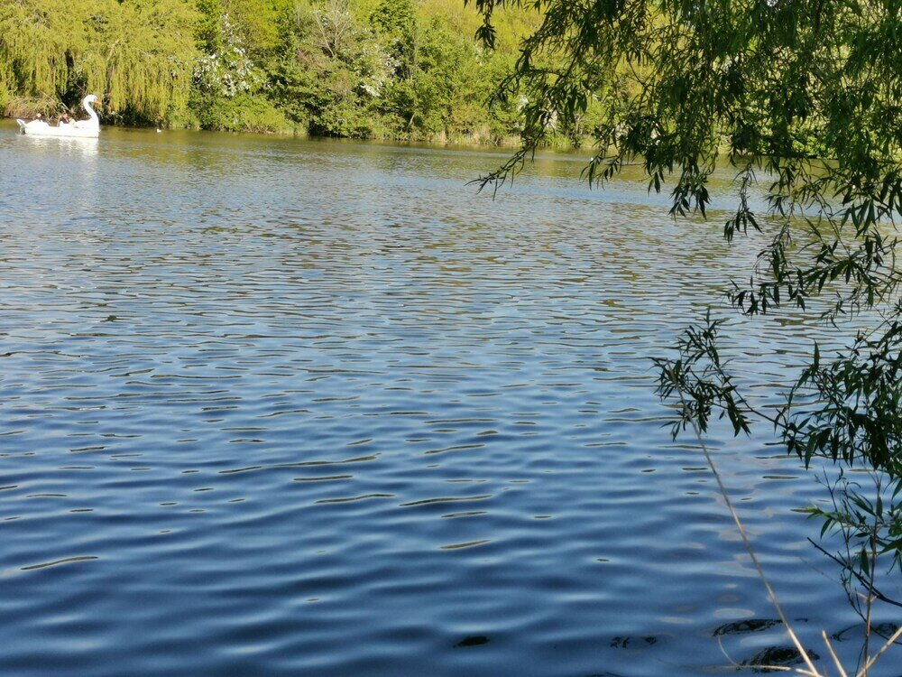 Фото Langley Haven