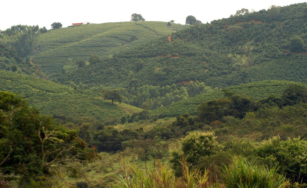 Фото Hotel Fazenda Vale Formoso