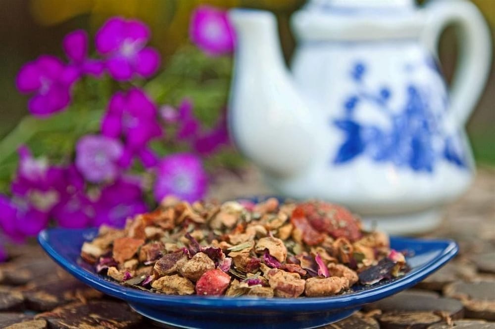 Фото Wyndham Boca Raton Hotel