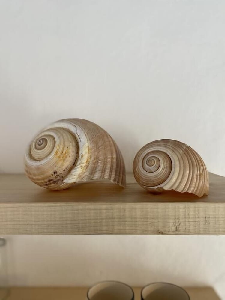 Фото Azure Blue Studios