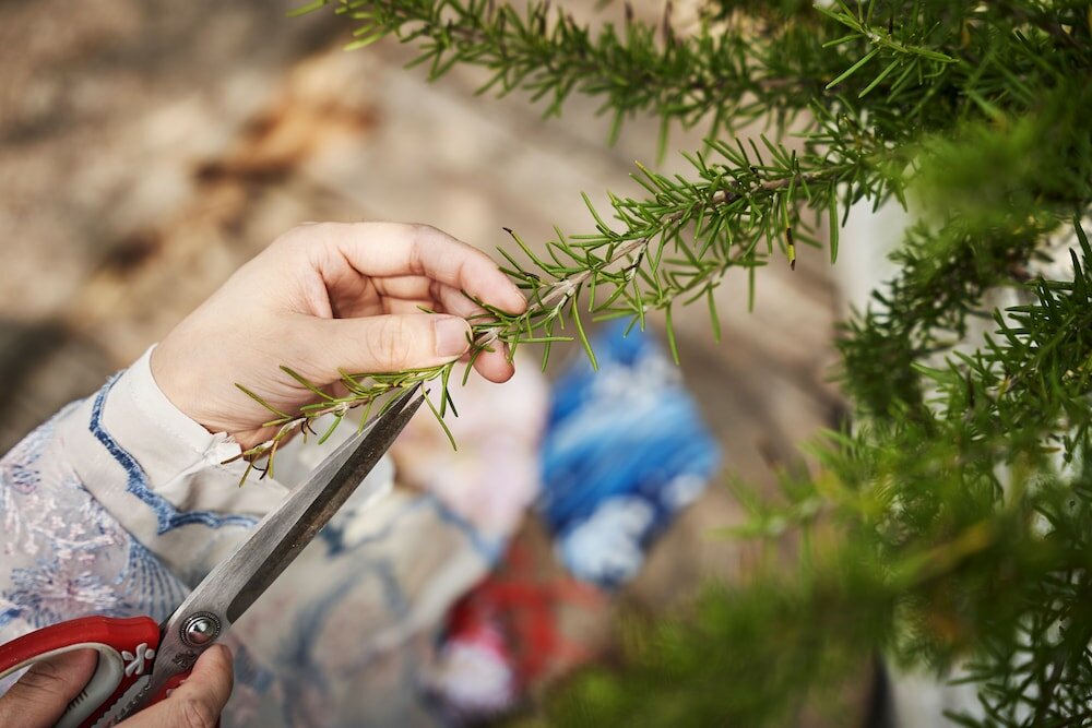 Фото Moonlo Hotel