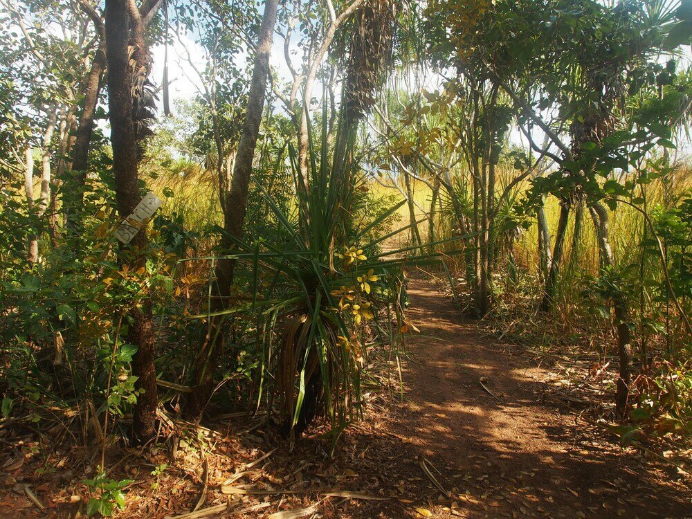 Фото Wagait Beach Holiday Houses