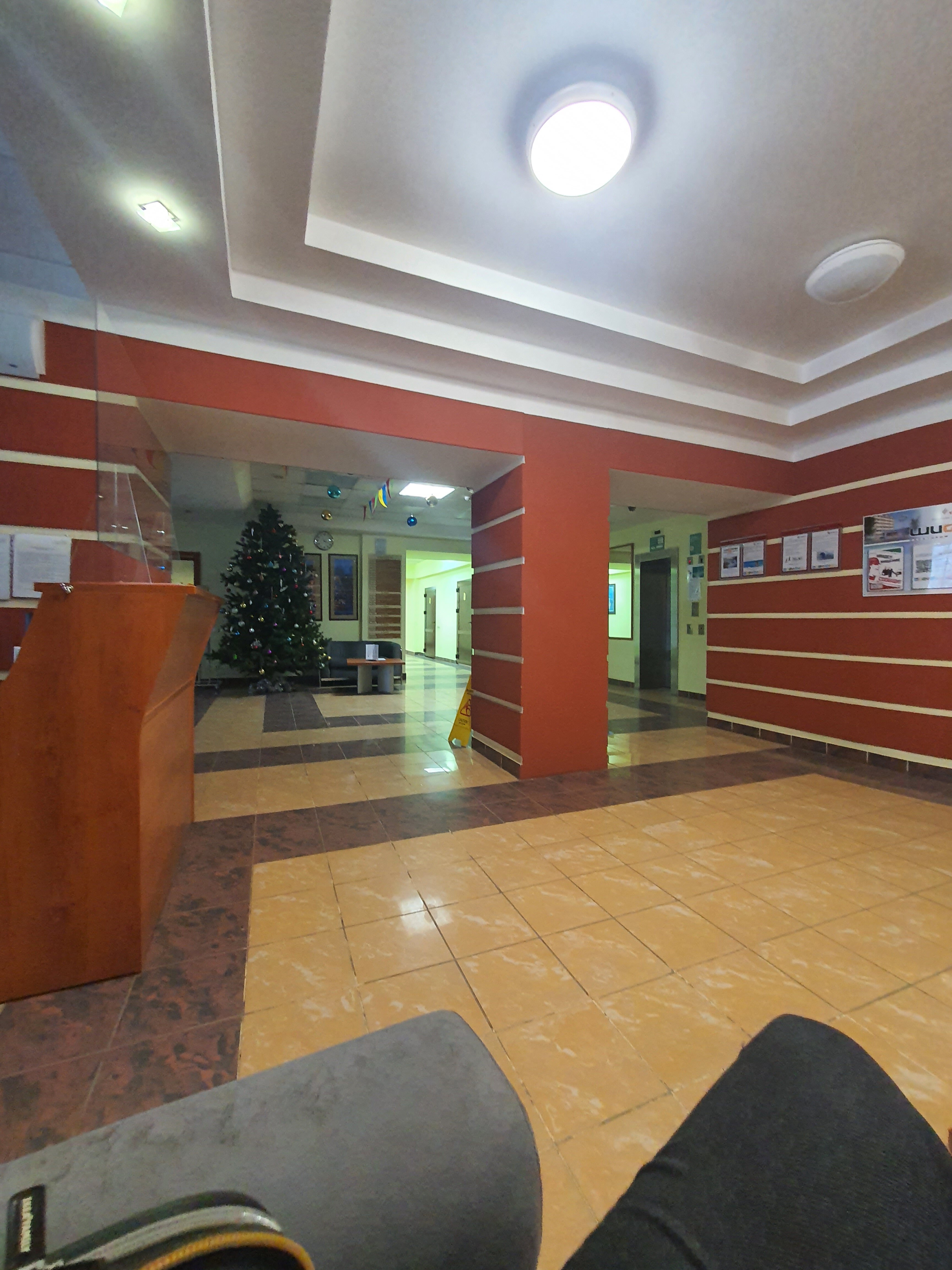 Фото Шифалы