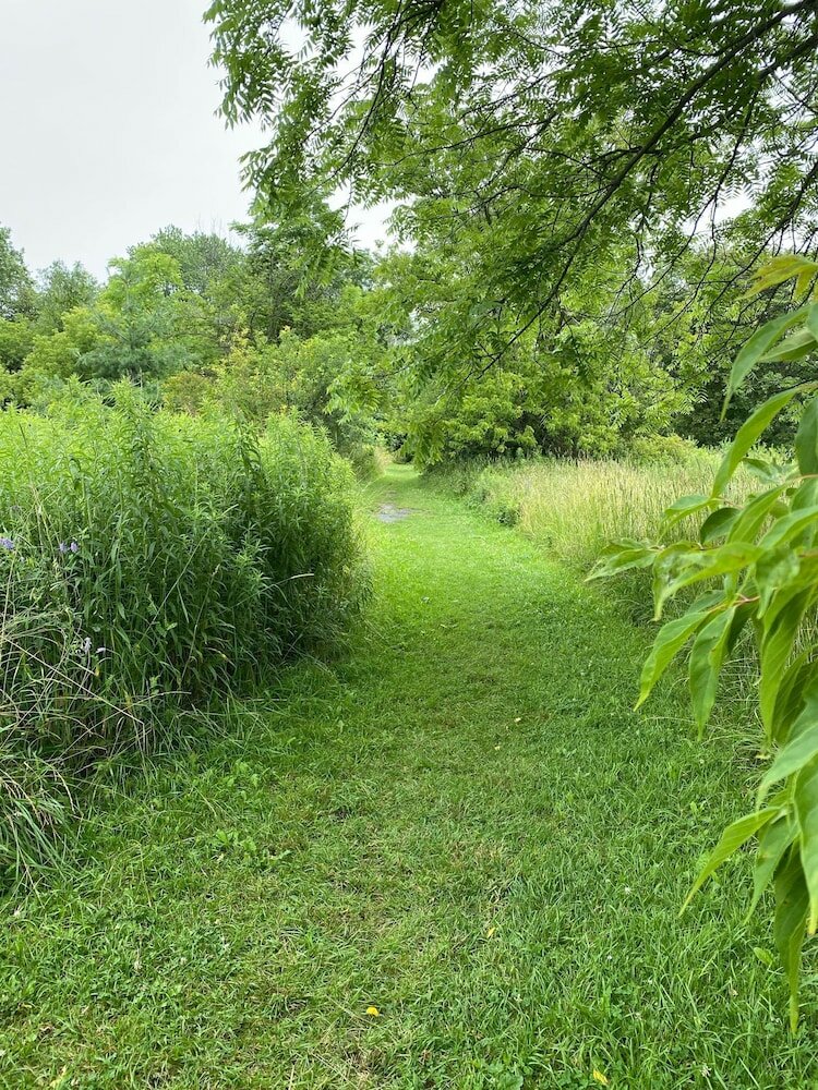 Фото Brand New Walk Out Bsmt Apt Near Beach