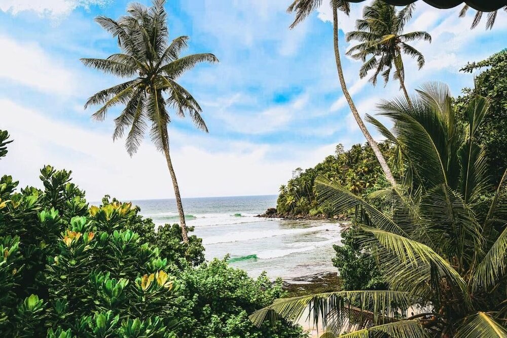 Фото Surf Sea Breeze