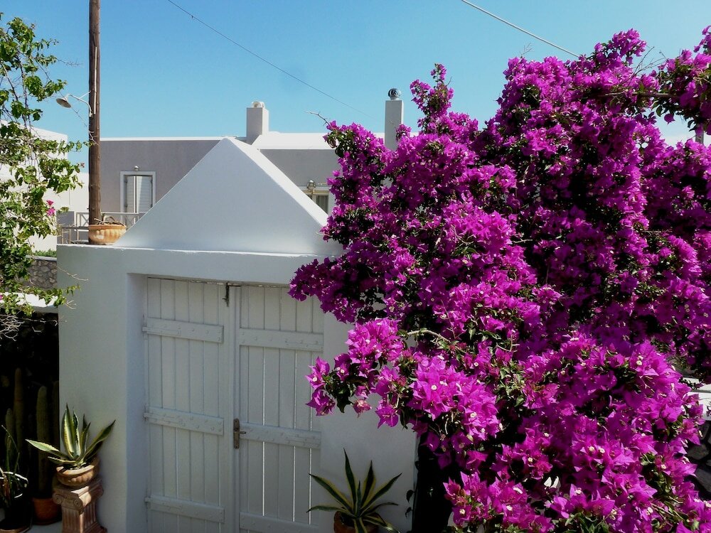 Фото Bougainvillea Suites