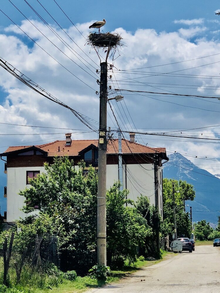 Фото Carpe Diem Bania