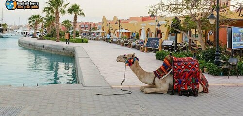 Гостиница Florenza Hurghada Resort в Хургаде