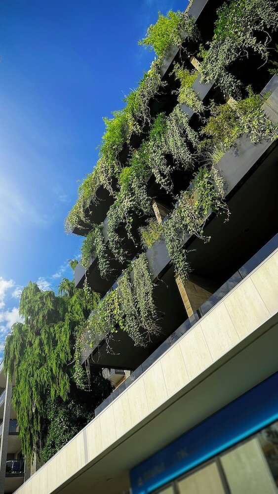 Фото Bamboo Garden