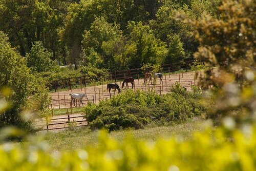 Гостиница Mas de Fauchon в Истре