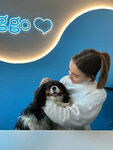 Doggo (Nagornaya ulitsa, 1), pet salon