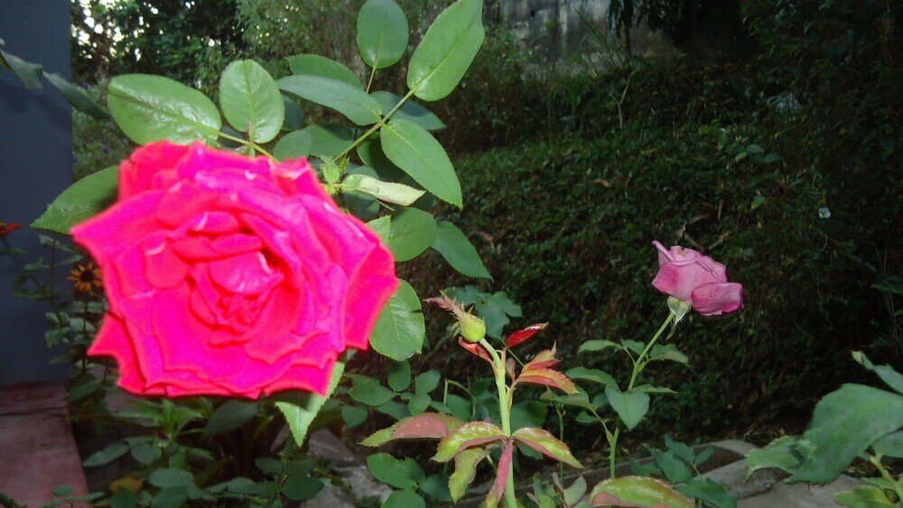 Фото Resort Beam