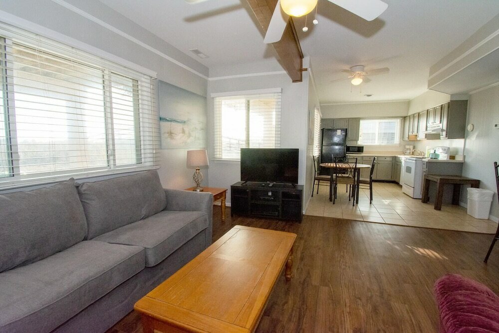 Фото 711 Yellow Perch