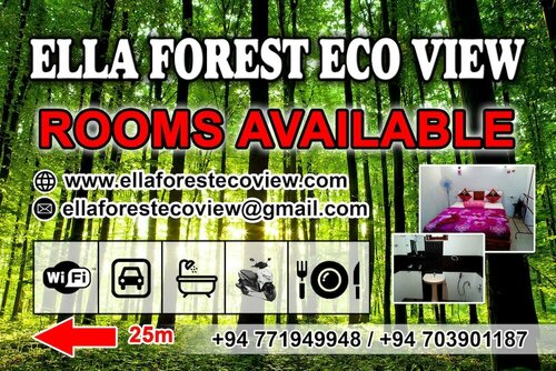 Гостиница Ella Forest Eco View
