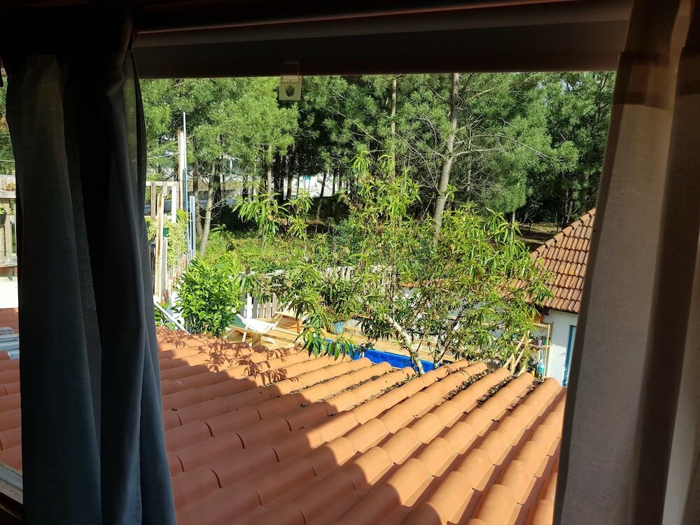 Фото Refugio do Esquilo