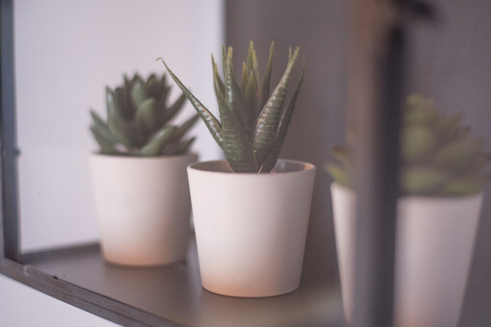 Фото TuGuest Alhambra Apartments II