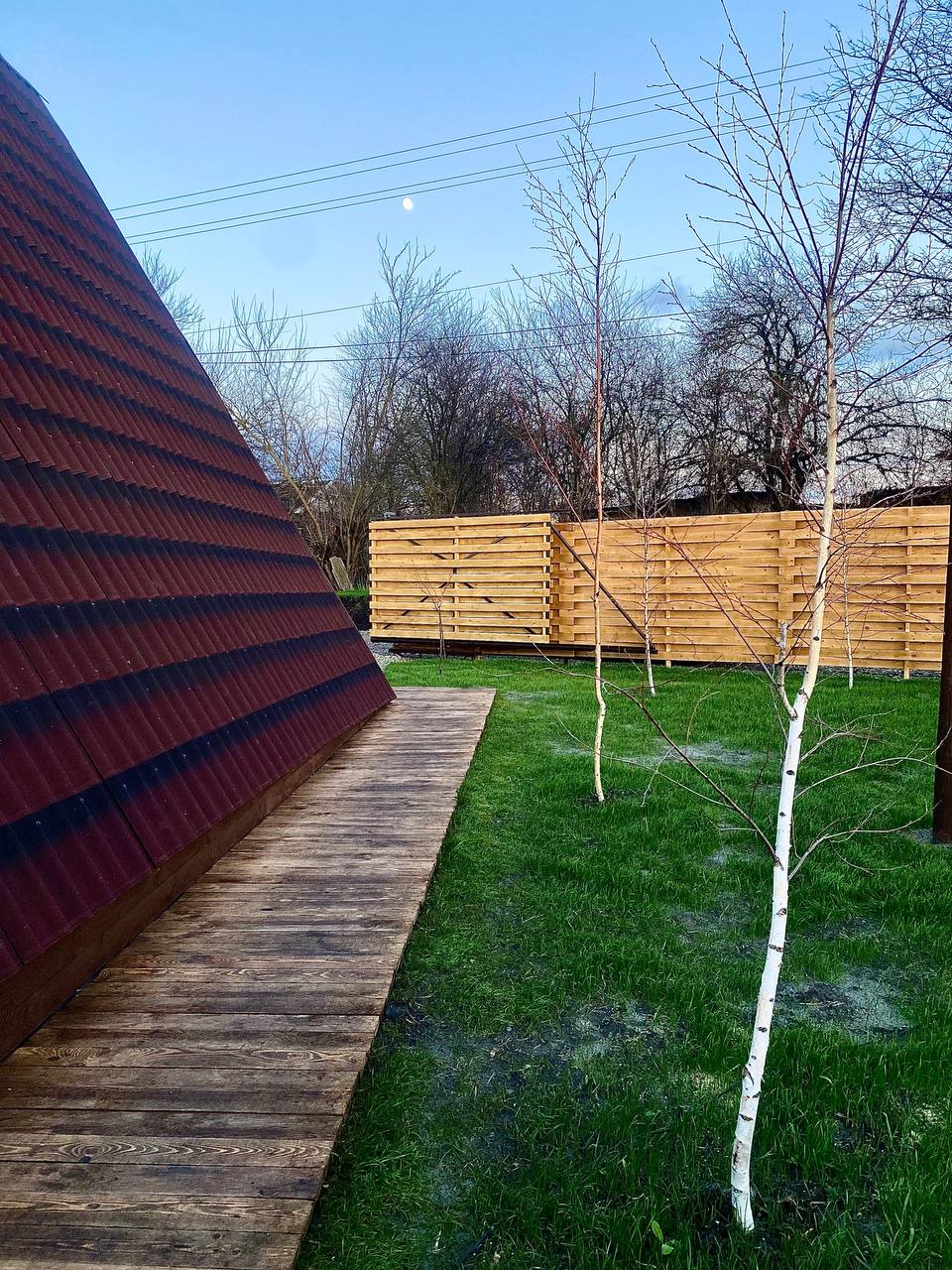 Фото Гнездо