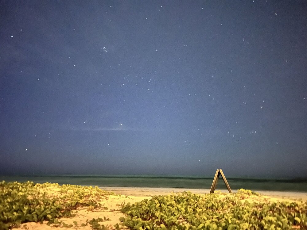 Фото Kivuli Beach Resort Paje