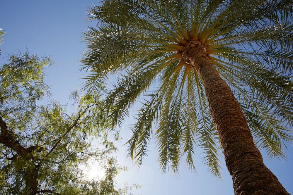 Фото Hotel Joan Miró Museum