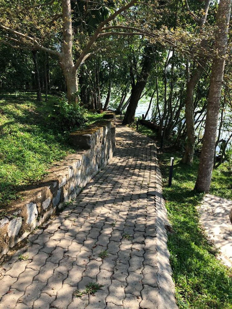 Фото Villa Attikka