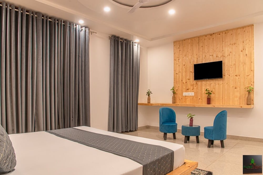 Фото The Cloud Berry