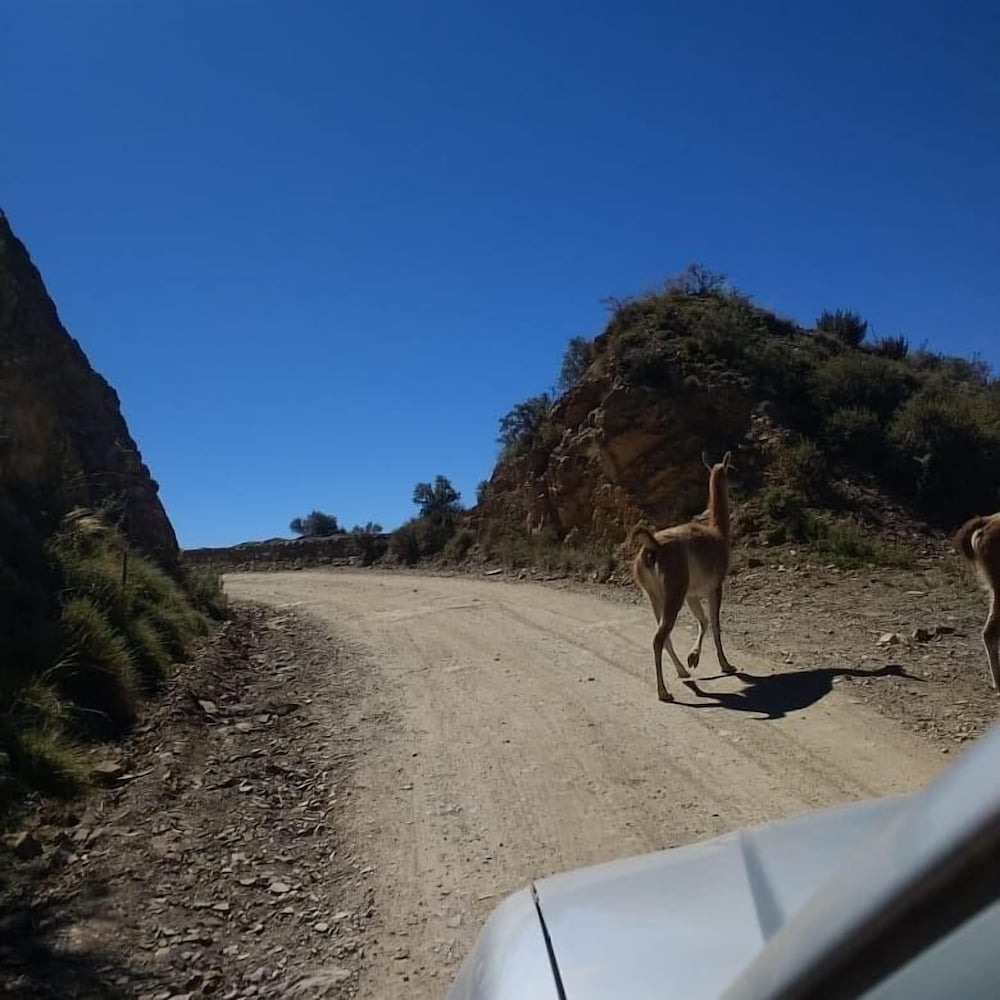 Фото Casona Rural de Maipu